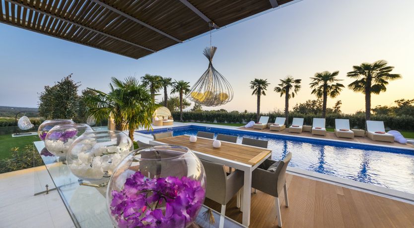 Photo of Dalmatian Dream