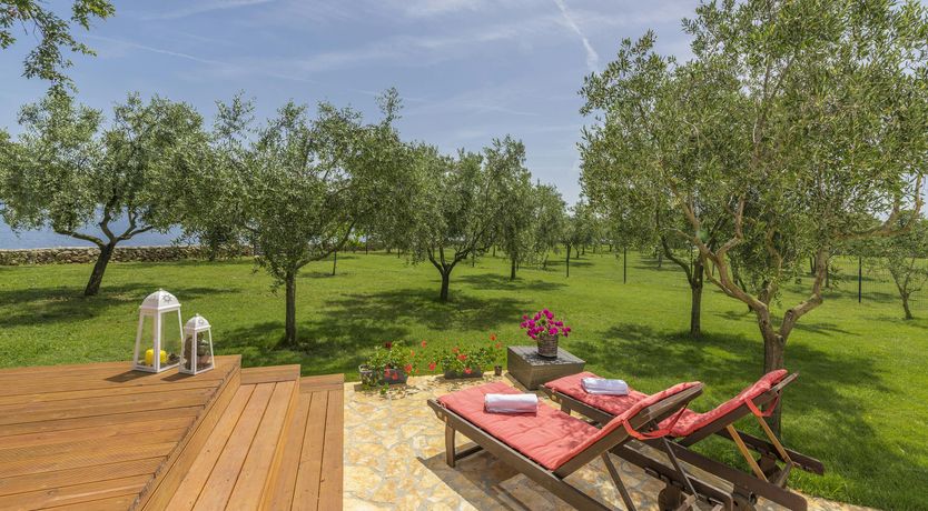 Photo of Silver-Hued Horizon