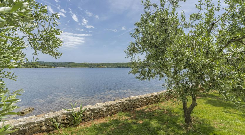 Photo of Silver-Hued Horizon