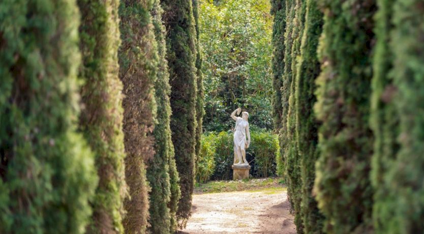 Photo of Spanish Sunshine