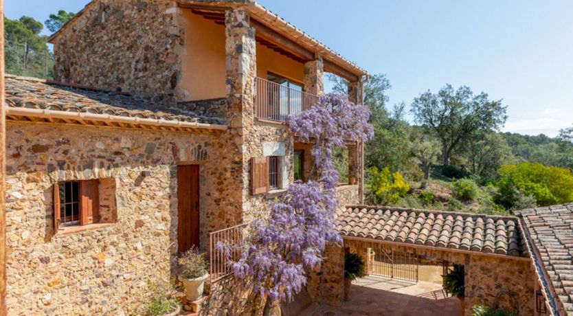 Photo of Spanish Sunshine