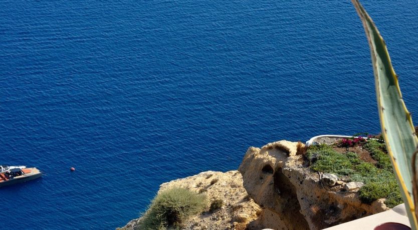 Photo of Moonstone & Olive