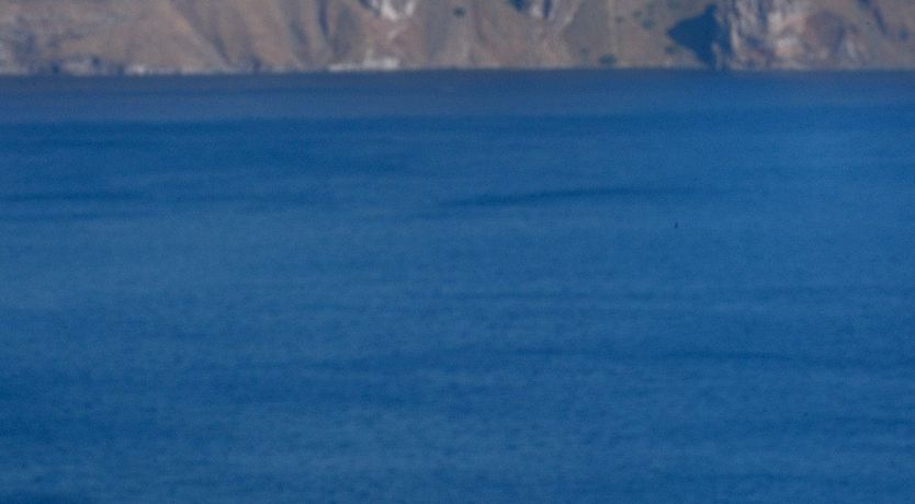 Photo of Moonstone & Olive