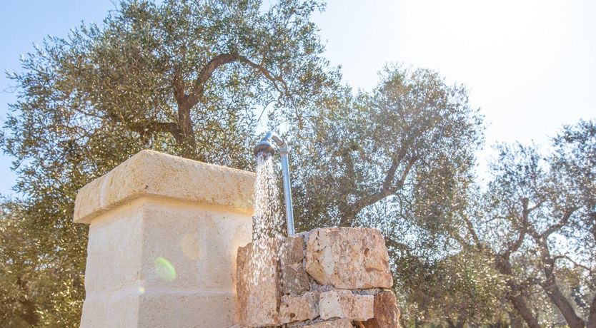 Photo of The Rose of Michele