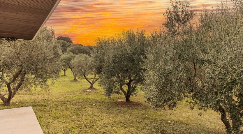 Photo of Love & Roses