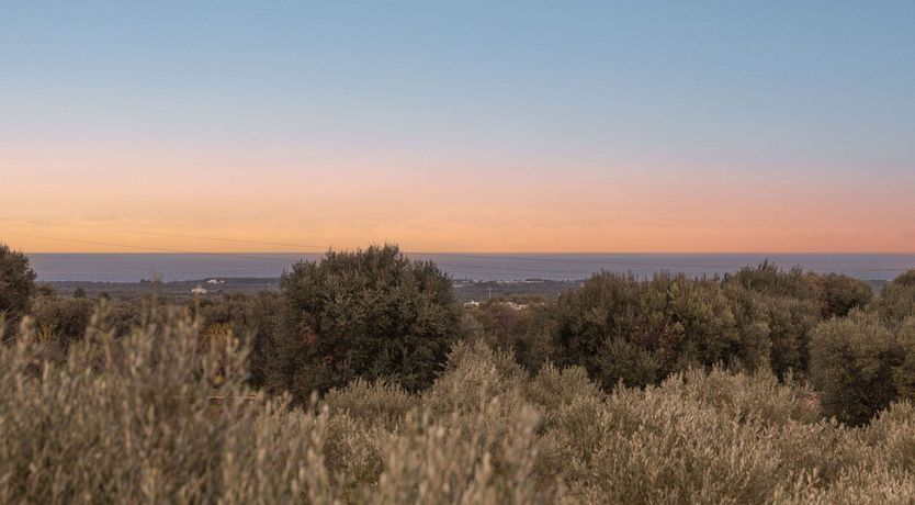 Photo of Love & Roses