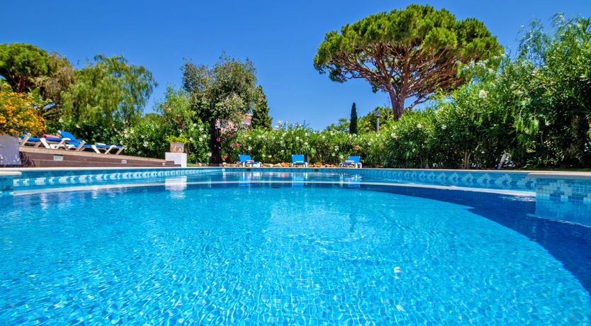 Photo of Sun-Kissed Ocean