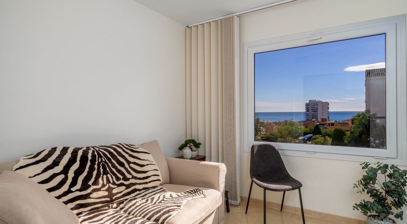 Photo of Orange Sunflower