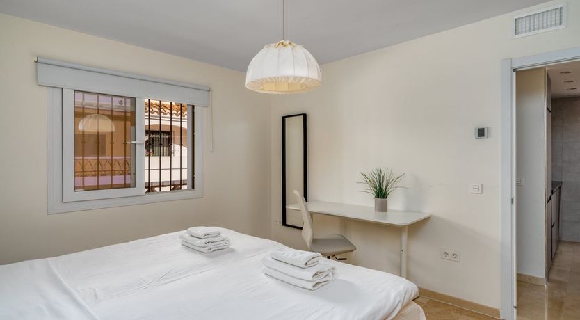 Photo of Orange Sunflower