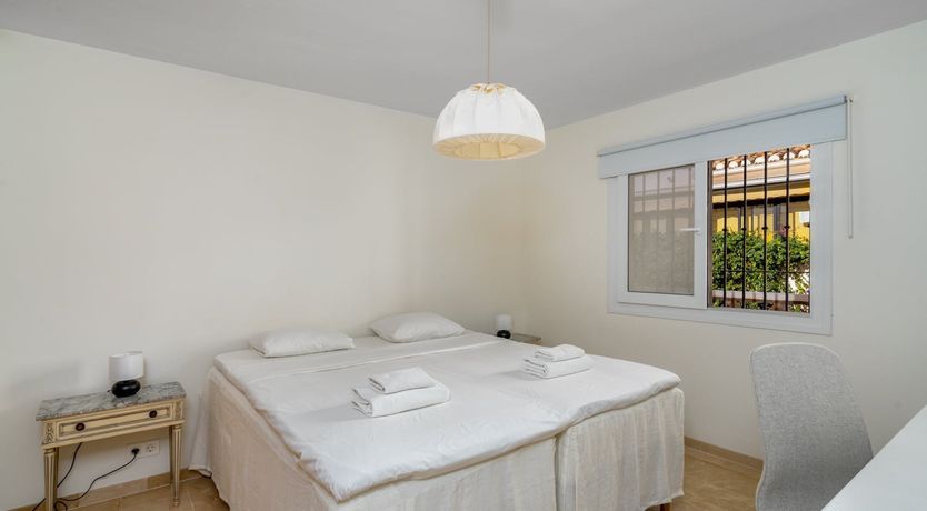 Photo of Orange Sunflower