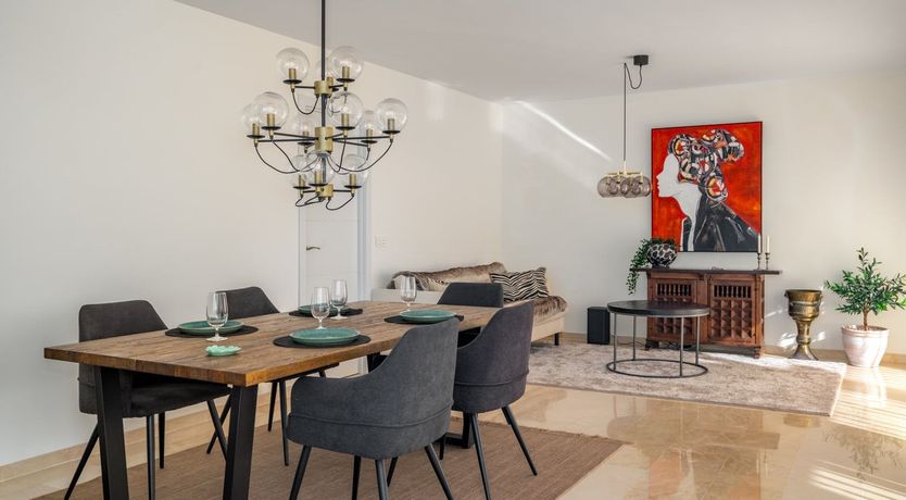 Photo of Orange Sunflower