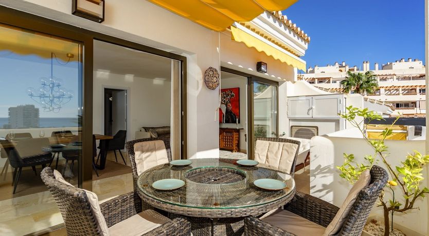 Photo of Orange Sunflower