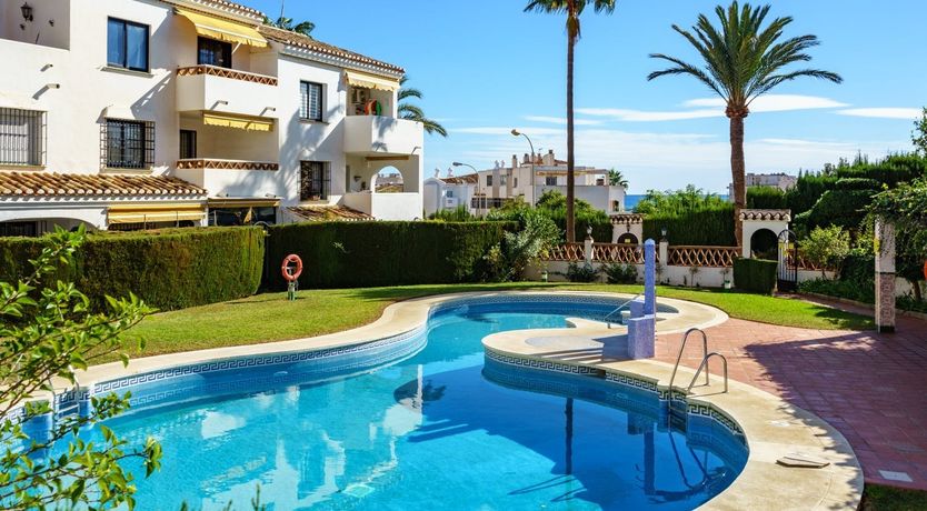 Photo of Orange Sunflower