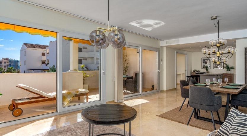 Photo of Orange Sunflower