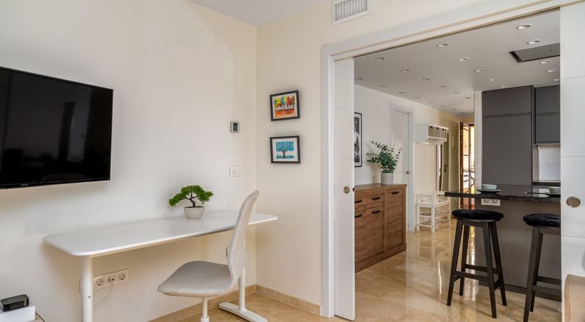 Photo of Orange Sunflower