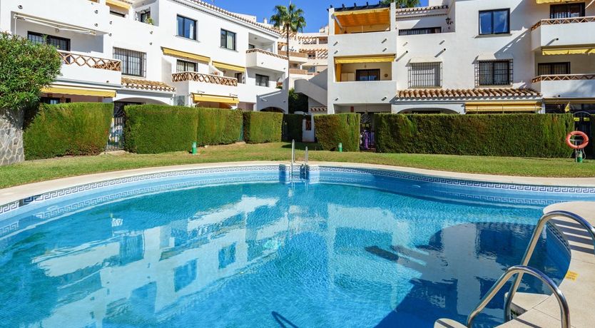 Photo of Orange Sunflower