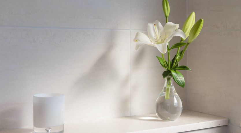 Photo of Sea Mountain