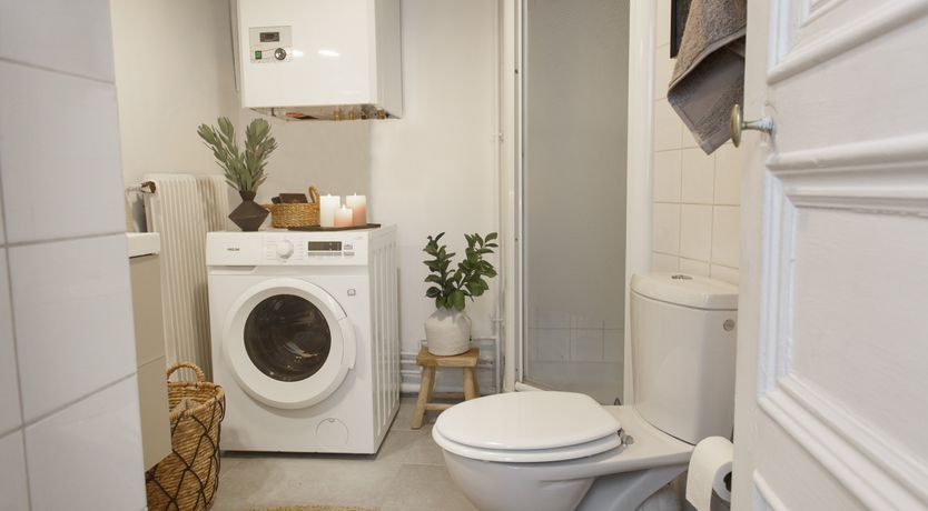 Photo of Tangerine & Black