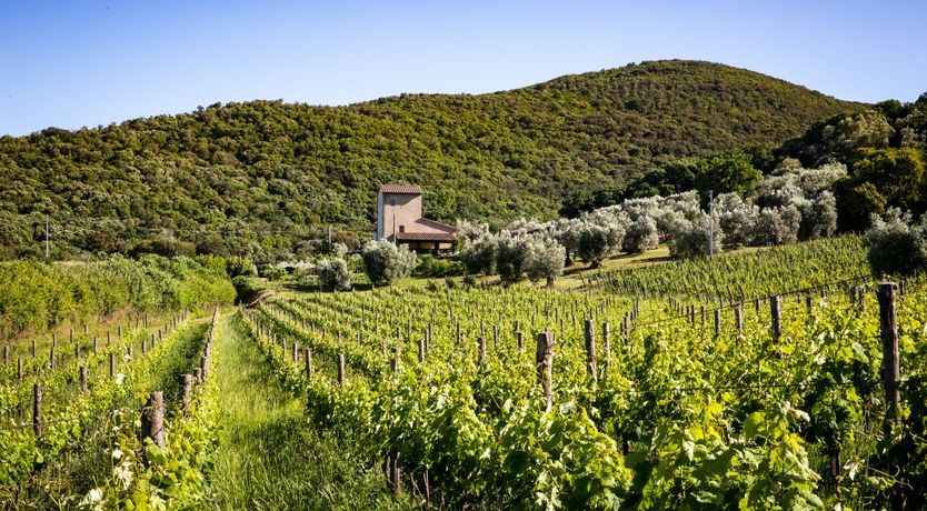 Photo of Amidst the Fields & Sea