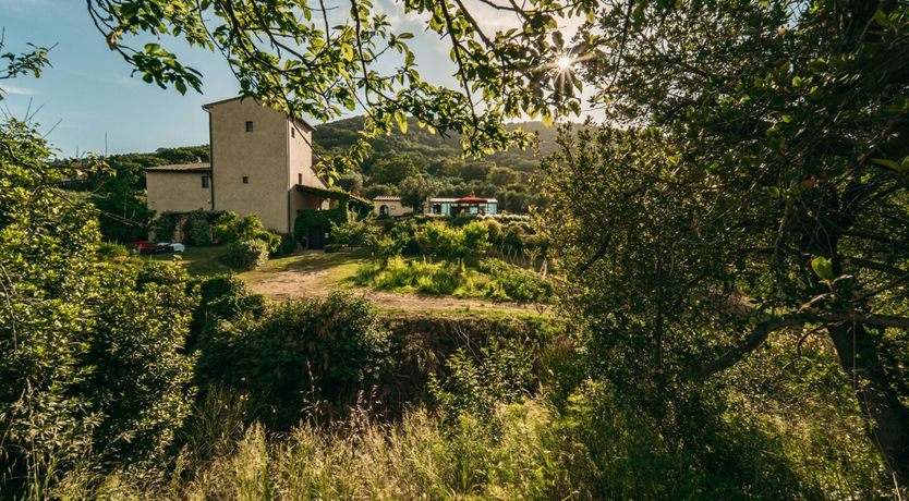 Photo of Amidst the Fields & Sea