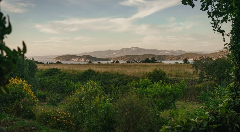 Photo of Amidst the Fields & Sea