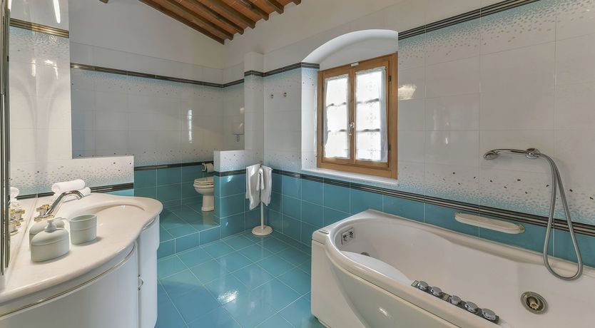 Photo of The Flowering Rose