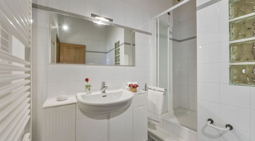 Photo of The Flowering Rose