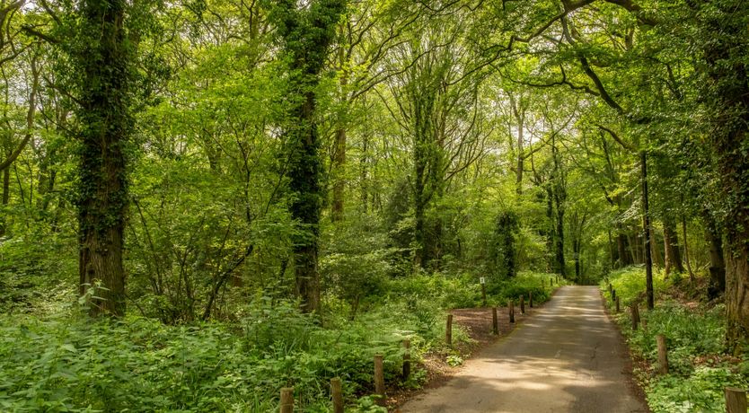Photo of The Old House