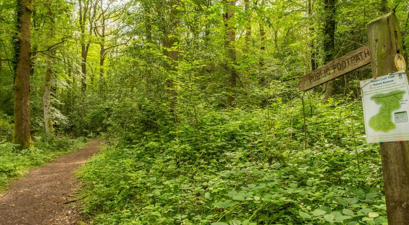 Photo of The Old House