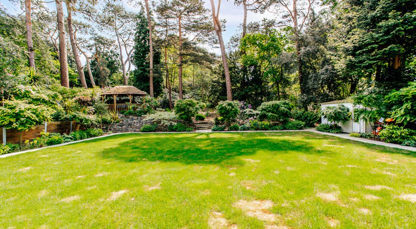 Photo of Master of the Sea