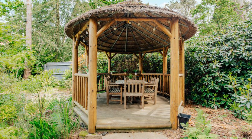 Photo of Master of the Sea