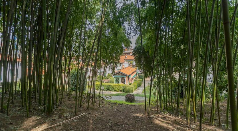 Photo of La Dolce Sposa