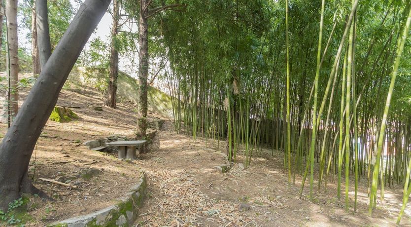 Photo of La Dolce Sposa