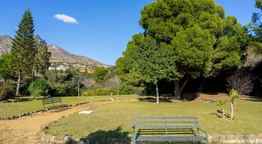 Photo of Dream Of Sunsets