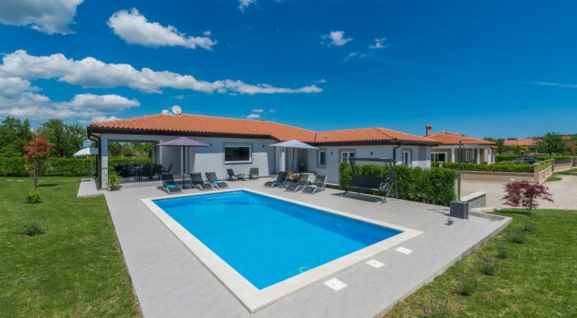 Photo of Painted by the Light