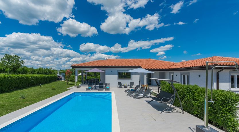 Photo of Painted by the Light