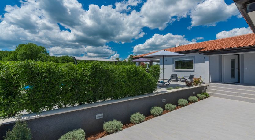 Photo of Painted by the Light