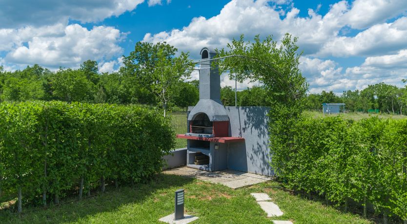 Photo of Painted by the Light