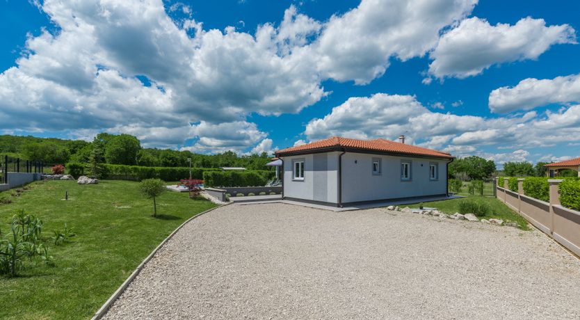 Photo of Painted by the Light