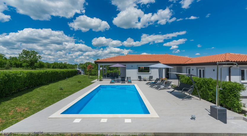 Photo of Painted by the Light