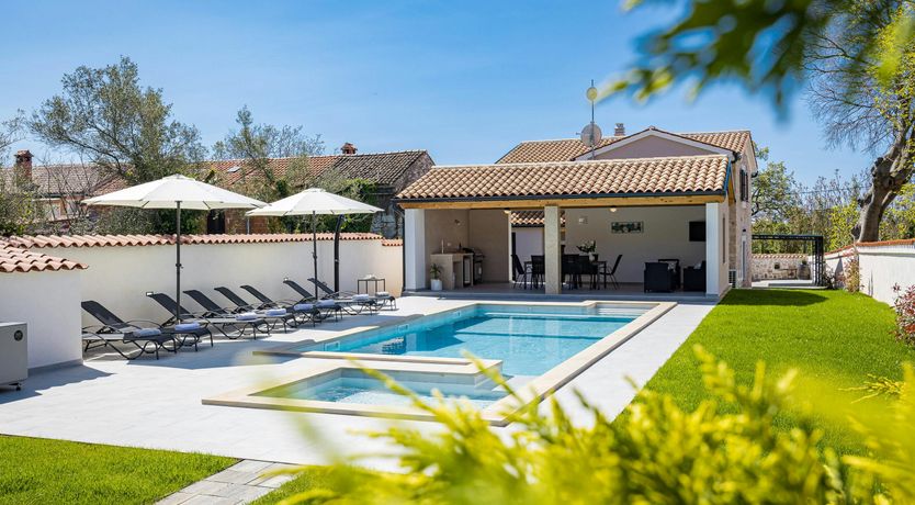 Photo of The Forest's Heart