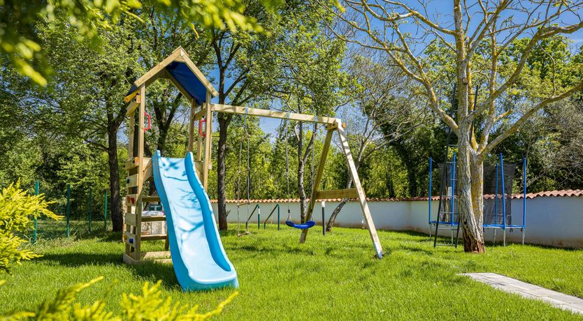 Photo of The Forest's Heart