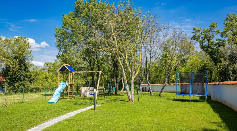 Photo of The Forest's Heart