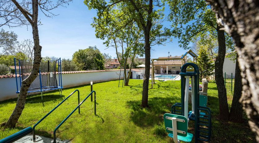 Photo of The Forest's Heart