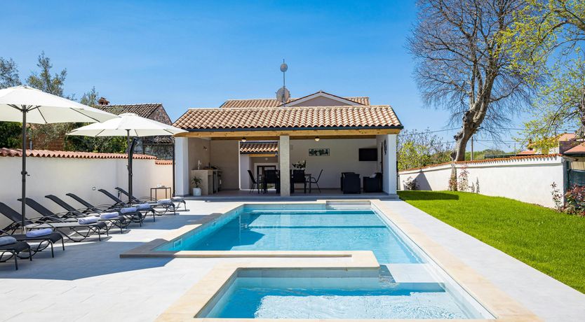 Photo of The Forest's Heart