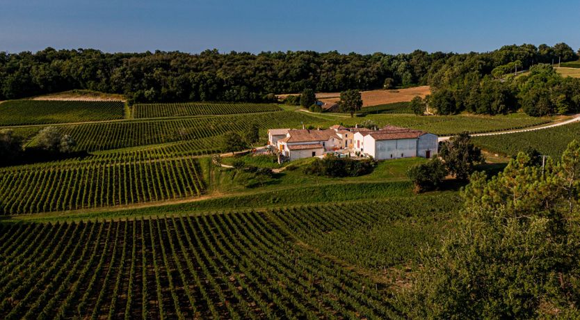 Photo of Comte de Montagny