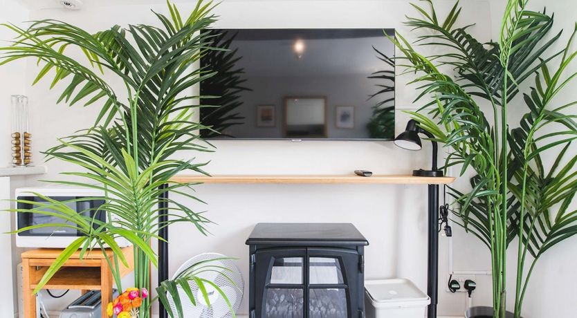 Photo of Soaking In The Light