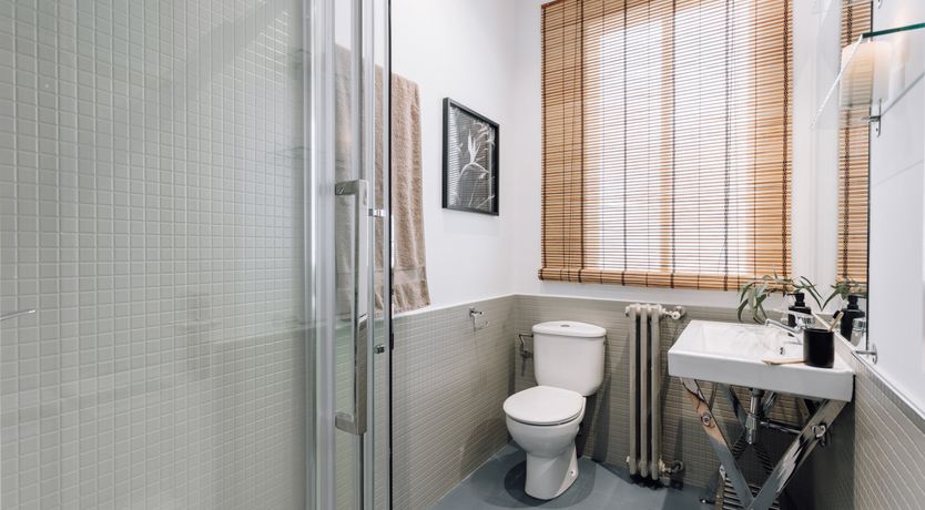 Photo of City Botanicals