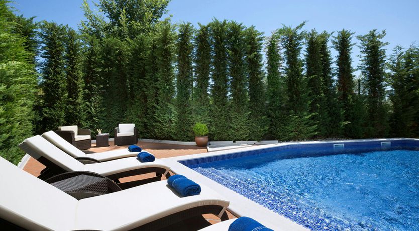 Photo of The Anemone Garden