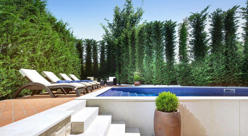 Photo of The Anemone Garden